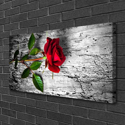 Photo sur toile Rose floral rouge vert