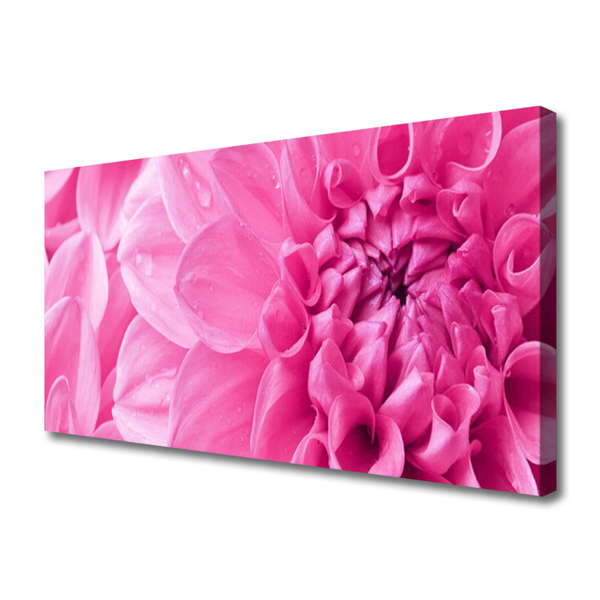 Photo sur toile Fleurs floral rose