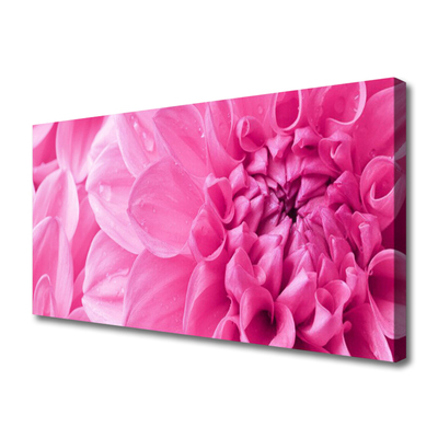 Photo sur toile Fleurs floral rose