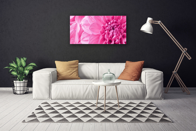 Photo sur toile Fleurs floral rose