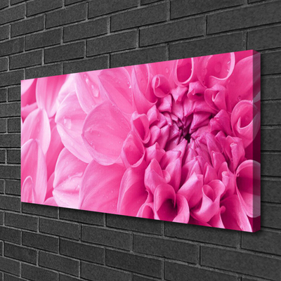 Photo sur toile Fleurs floral rose