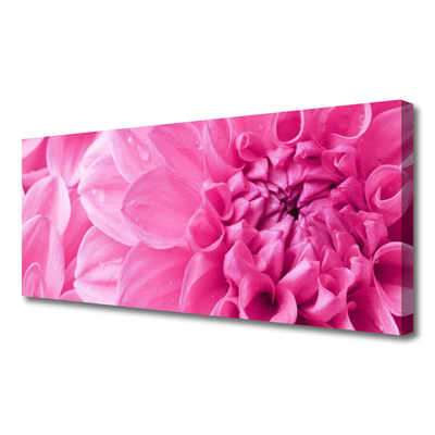 Photo sur toile Fleurs floral rose