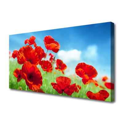Photo sur toile Pavots floral rouge