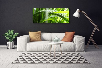 Photo sur toile Herbe rosée floral vert