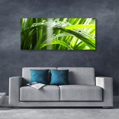 Photo sur toile Herbe rosée floral vert