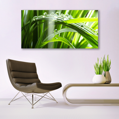 Photo sur toile Herbe rosée floral vert