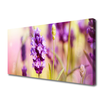 Photo sur toile Fleurs floral rose