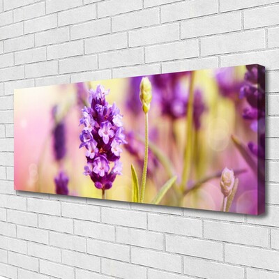 Photo sur toile Fleurs floral rose