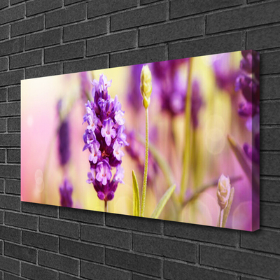 Photo sur toile Fleurs floral rose