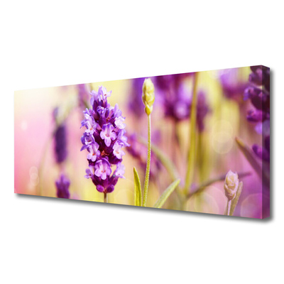 Photo sur toile Fleurs floral rose