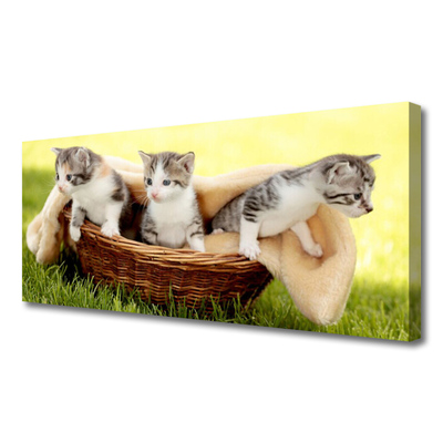 Photo sur toile Chats animaux gris blanc brun