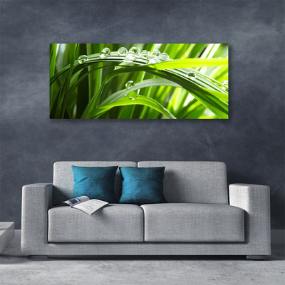 Photo sur toile Herbe gouttes d'eau nature vert