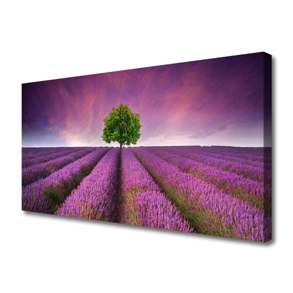 Photo sur toile Arbre prairie nature rose vert violet