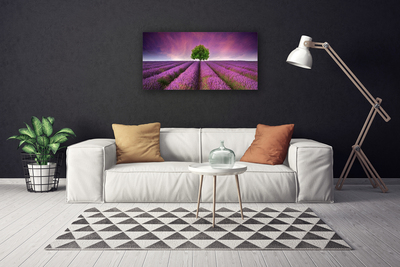 Photo sur toile Arbre prairie nature rose vert violet