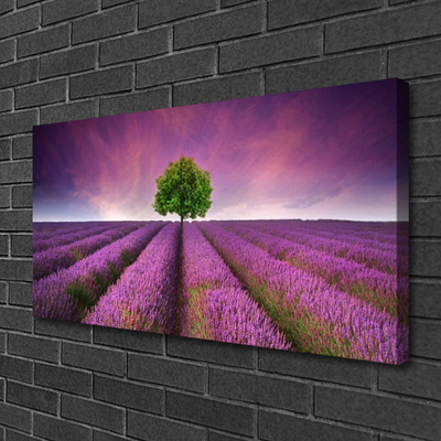 Photo sur toile Arbre prairie nature rose vert violet