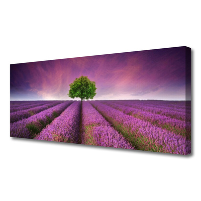 Photo sur toile Arbre prairie nature rose vert violet