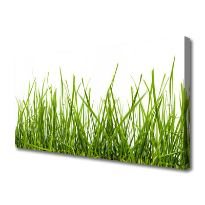 Photo sur toile Herbe nature vert