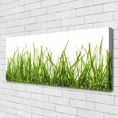 Photo sur toile Herbe nature vert