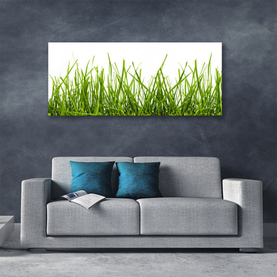 Photo sur toile Herbe nature vert