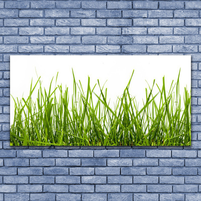 Photo sur toile Herbe nature vert