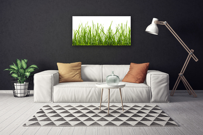 Photo sur toile Herbe nature vert