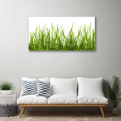 Photo sur toile Herbe nature vert