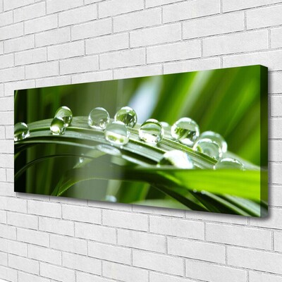 Photo sur toile Herbe rosée floral vert