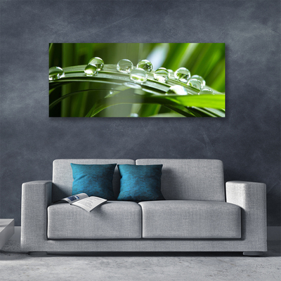 Photo sur toile Herbe rosée floral vert