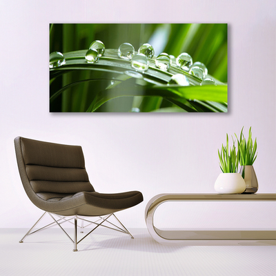 Photo sur toile Herbe rosée floral vert