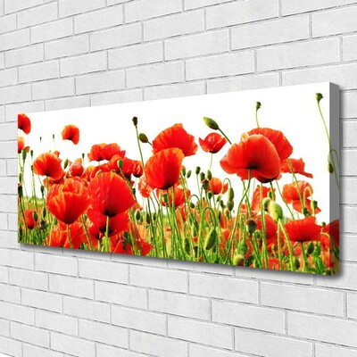 Photo sur toile Coquelicots nature rouge vert