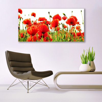 Photo sur toile Coquelicots nature rouge vert