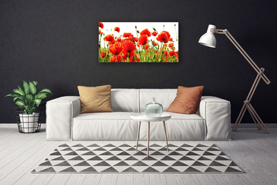 Photo sur toile Coquelicots nature rouge vert