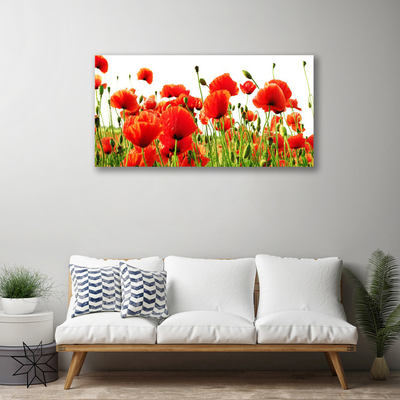 Photo sur toile Coquelicots nature rouge vert