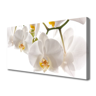 Photo sur toile Fleurs floral blanc