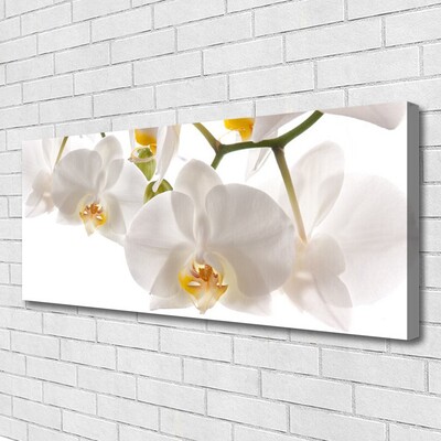 Photo sur toile Fleurs floral blanc