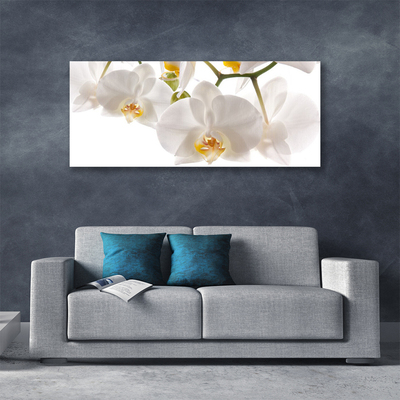 Photo sur toile Fleurs floral blanc