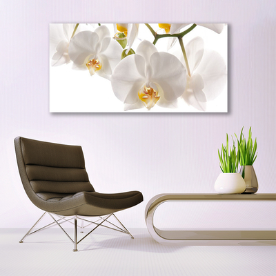 Photo sur toile Fleurs floral blanc