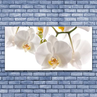 Photo sur toile Fleurs floral blanc