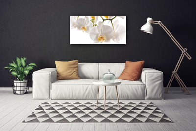 Photo sur toile Fleurs floral blanc