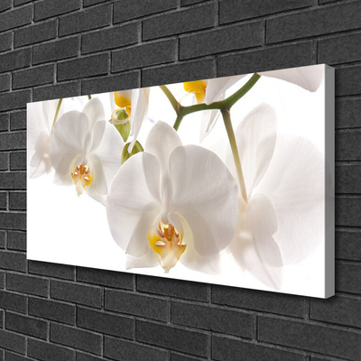 Photo sur toile Fleurs floral blanc