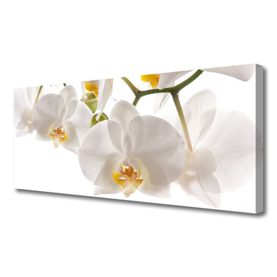 Photo sur toile Fleurs floral blanc