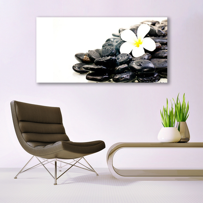 Photo sur toile Fleurs pierres art blanc noir