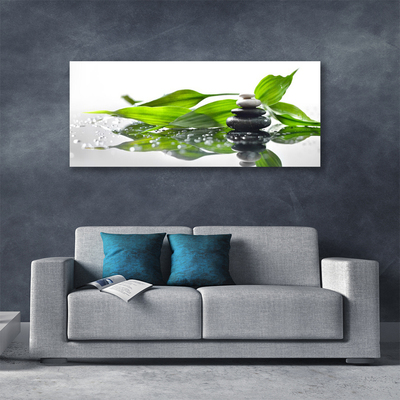 Photo sur toile Feuilles pierres art noir vert