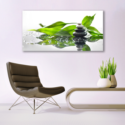 Photo sur toile Feuilles pierres art noir vert