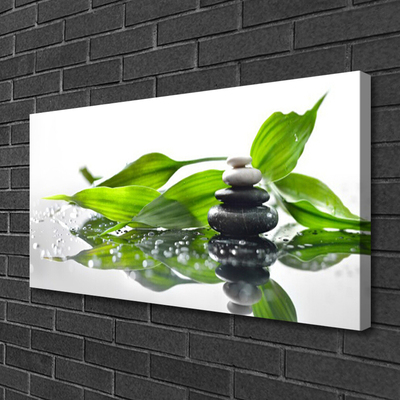 Photo sur toile Feuilles pierres art noir vert