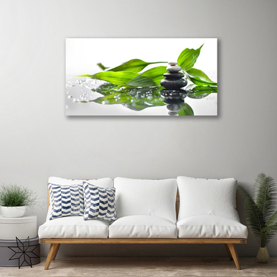 Photo sur toile Feuilles pierres art noir vert