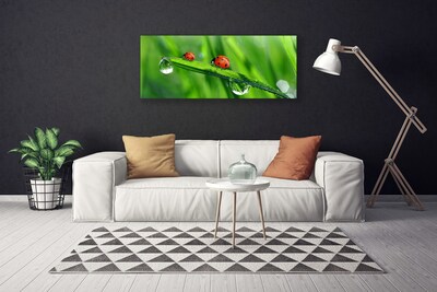 Photo sur toile Coccinelle feuille floral vert rouge noir