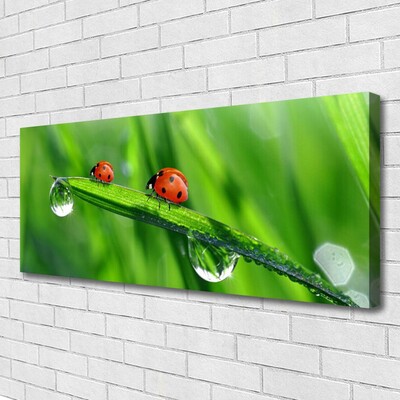 Photo sur toile Coccinelle feuille floral vert rouge noir