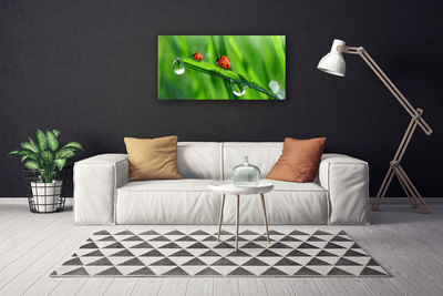 Photo sur toile Coccinelle feuille floral vert rouge noir