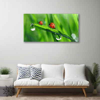 Photo sur toile Coccinelle feuille floral vert rouge noir